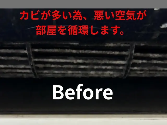 ❀̥カビ、臭い専門店❀̥、室内を健康な空気にし、喉に優しいエアコンで暖房をサービスの画像