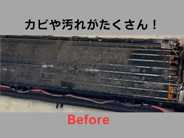 ❀̥カビ、臭い専門店❀̥、室内を健康な空気にし、喉に優しいエアコンで暖房をサービスの画像