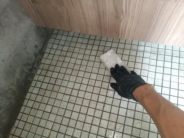 新規カテゴリー追加につき、キャンペーン中！！！サービスの画像