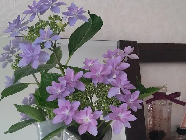 ●岡山　広島●　断捨離のお手伝い&おそうじ【土日祝追加料金なし】サービスの画像