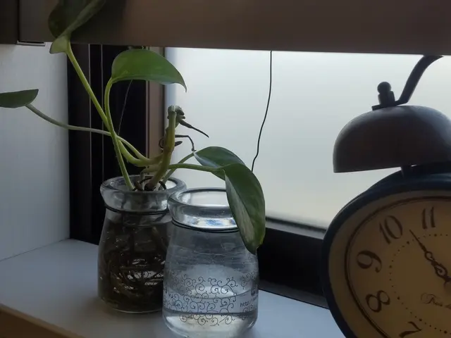 ●岡山　広島●　断捨離のお手伝い&おそうじ【土日祝追加料金なし】サービスの画像