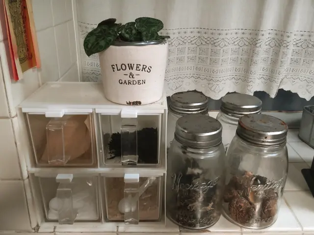 ●岡山　広島●　断捨離のお手伝い&おそうじ【土日祝追加料金なし】サービスの画像