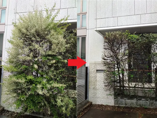 年間100件の実績！レスキュー隊経験者が安全第一で美しく仕上げますサービスの画像