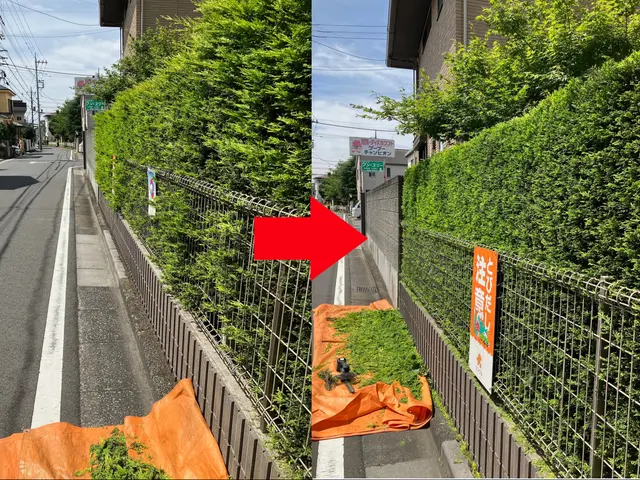 年間100件の実績！レスキュー隊経験者が安全第一で美しく仕上げますサービスの画像