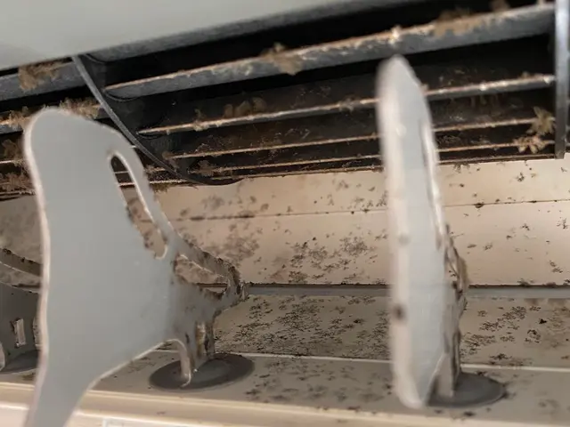 【年中無休！】エコ洗剤使用◎小さなお子様やご年配の方にも安心していただけます！サービスの画像