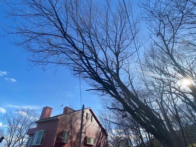 【作業外注一切なし！】お客様の立場になって丁寧に作業します！サービスの画像