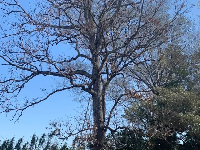 【作業外注一切なし！】お客様の立場になって丁寧に作業します！サービスの画像