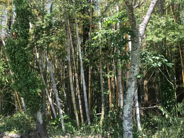 【作業外注一切なし！】お客様の立場になって丁寧に作業します！サービスの画像