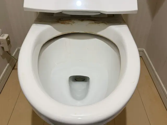 トイレのクリーニングサービスの画像