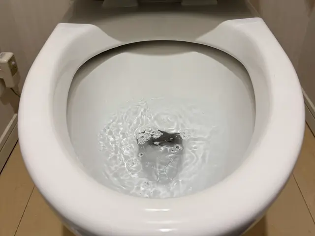 トイレのクリーニングサービスの画像