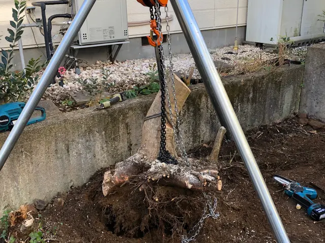 ◉親子でお伺い◉小さなお庭から集合住宅や不動産など、当日ご不在でもお受けします！サービスの画像