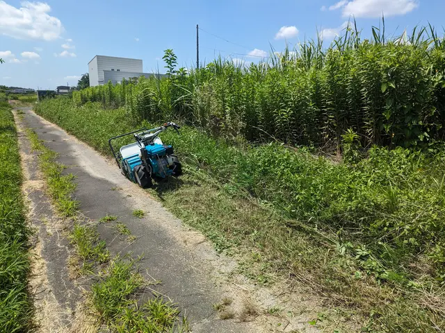 ☆お庭・空家・空地・耕作放棄地・遊休地の草刈りお任せください　損害保険加入済み◎サービスの画像
