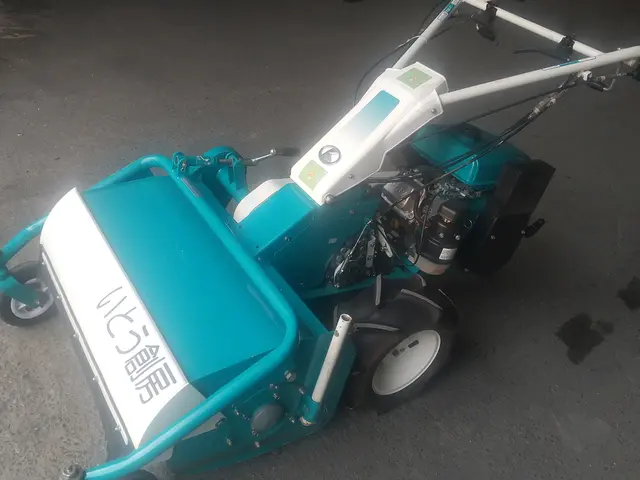 ☆お庭・空家・空地・耕作放棄地・遊休地の草刈りお任せください　損害保険加入済み◎サービスの画像