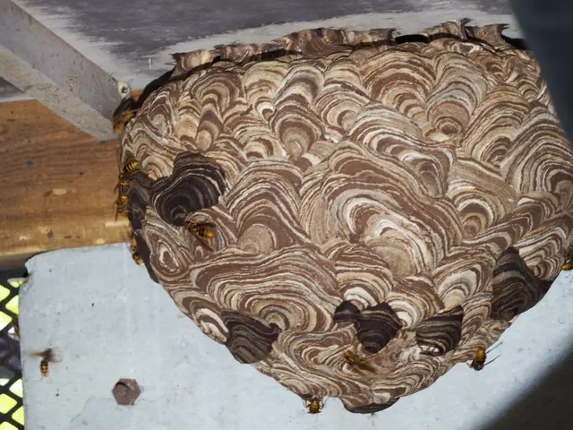 【地域密着店】◎100件の実績あり◎即日対応可！アフターサポートも充実サービスの画像