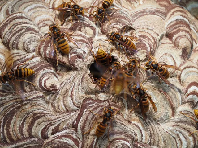 【地域密着店】◎100件の実績あり◎即日対応可！アフターサポートも充実サービスの画像