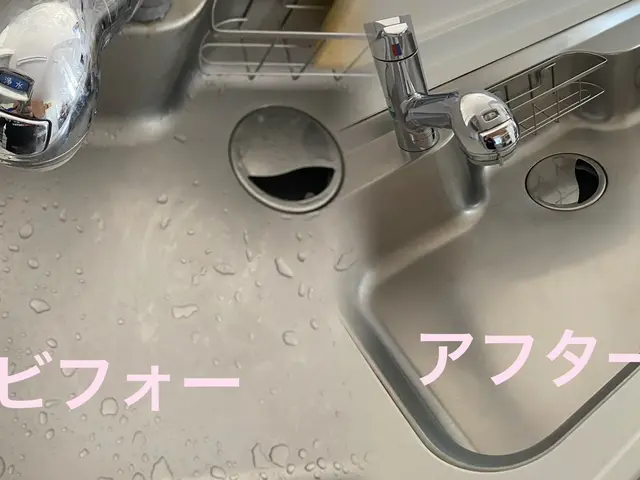 必ず女性と２人作業■予約受付中※PayPay支払い可能※掃除で運気もアップサービスの画像