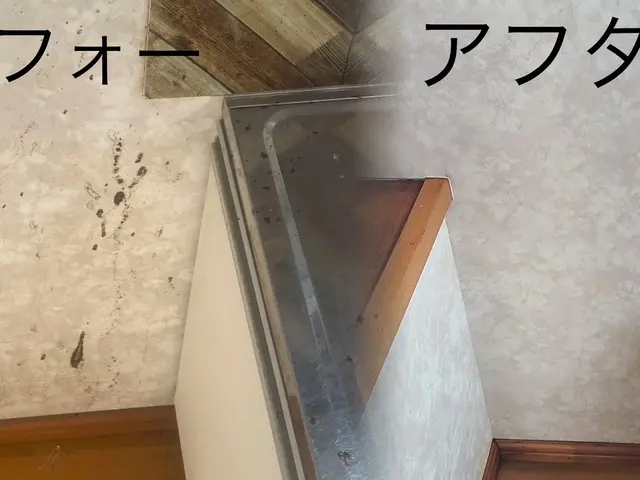 必ず女性と２人作業■予約受付中※PayPay支払い可能※掃除で運気もアップサービスの画像