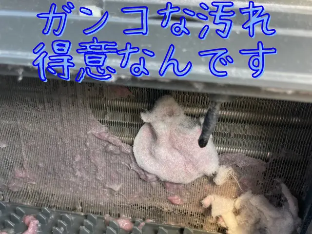 【修理の専門業者】完全分解洗浄で新品同様の仕上がり専門だから出来る完全分解サービスの画像