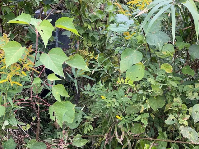 【5分間サービス付】24時間対応★外注一切無★駐車場代店負担★損害保険加入済サービスの画像