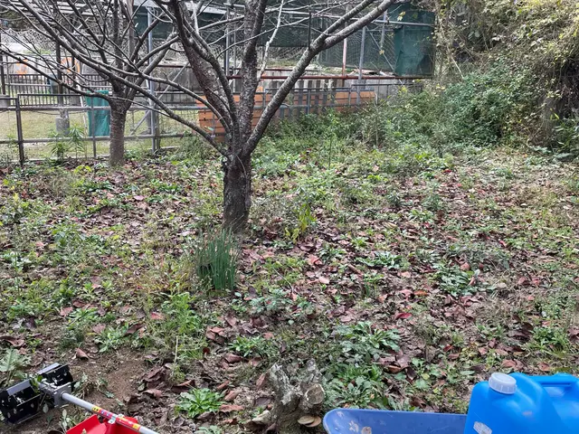 【5分間サービス付】24時間対応★外注一切無★駐車場代店負担★損害保険加入済サービスの画像