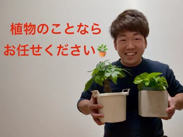 ◆お仕事ください！！◆作業実績200件以上◆3/24から対応可能サービスの画像