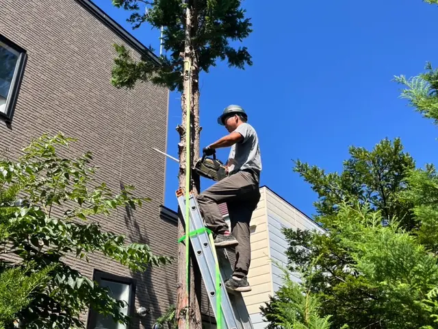 ◆お仕事ください！！◆作業実績200件以上◆3/24から対応可能サービスの画像