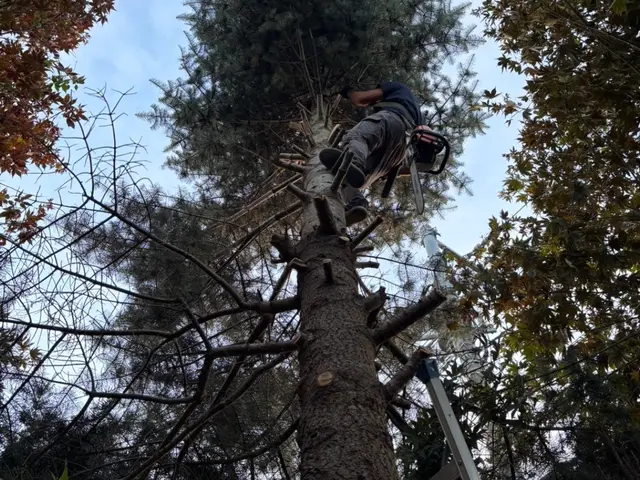 ◆お仕事ください！！◆作業実績200件以上◆3/24から対応可能サービスの画像