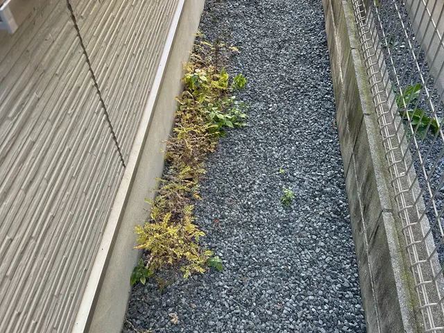 4月限定！草むしりスッキリプランサービスの画像