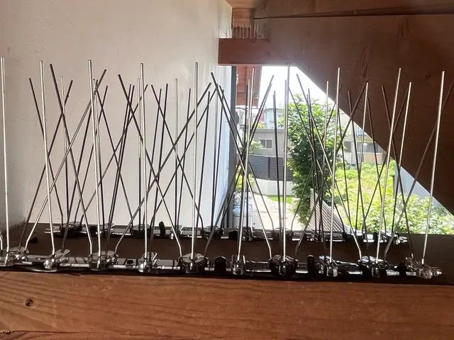 1月新出店◎健康観点【子ども・家族に安心】再発防止まで【店長対応◎】サービスの画像