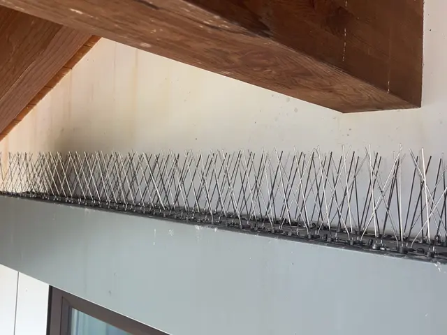 1月新出店◎健康観点【子ども・家族に安心】再発防止まで【店長対応◎】サービスの画像