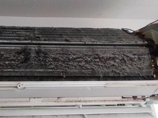 実績1000件以上！徹底洗浄で快適空間を実現サービスの画像