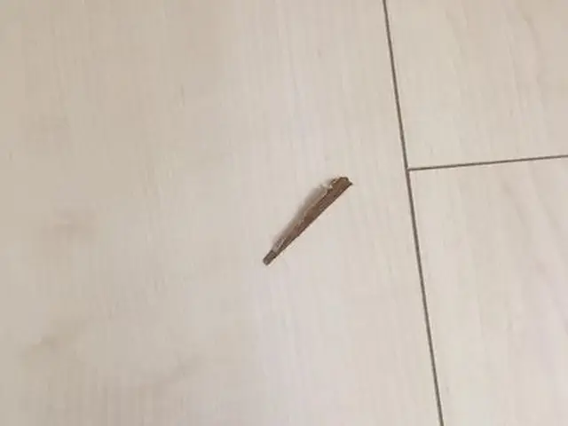 創業8年以上！満足度抜群のフローリング傷直しのプロ集団サービスの画像