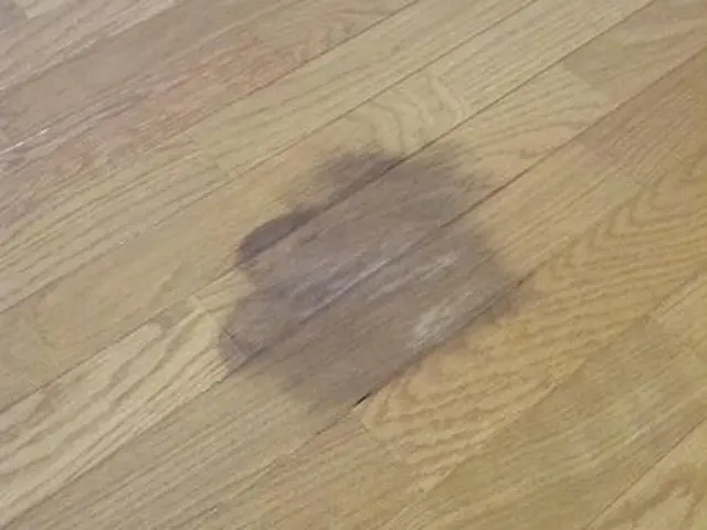 創業8年以上！満足度抜群のフローリング傷直しのプロ集団サービスの画像