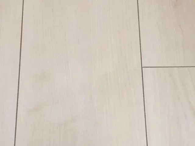 創業8年以上！満足度抜群のフローリング傷直しのプロ集団サービスの画像