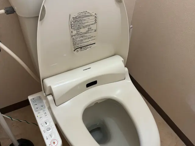 最短即日対応！交換前やお引越し前に！古いウォシュレットの回収・処分も対応！サービスの画像