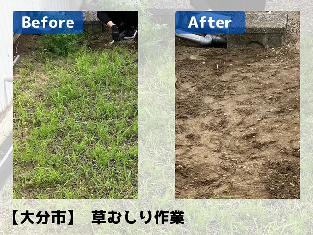 暑い・キツい・面倒な草むしりはUHandに丸投げ！庭の爽快リセットお約束サービスの画像