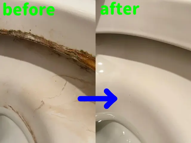 【年一のお手入れに】水まわりをまとめてピカピカ♫大掃除シーズン前の今がおすすめ◆サービスの画像