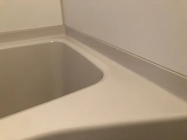 【年一のお手入れに】水まわりをまとめてピカピカ♫大掃除シーズン前の今がおすすめ◆サービスの画像