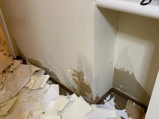 お客様のお力になります！経験と知識を活かして迅速丁寧に作業いたします！サービスの画像