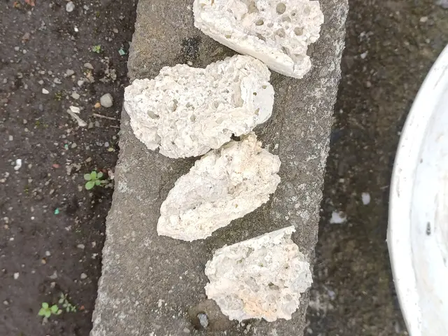 プロの技術でご満足いただけるように心を込めて作業いたしますサービスの画像