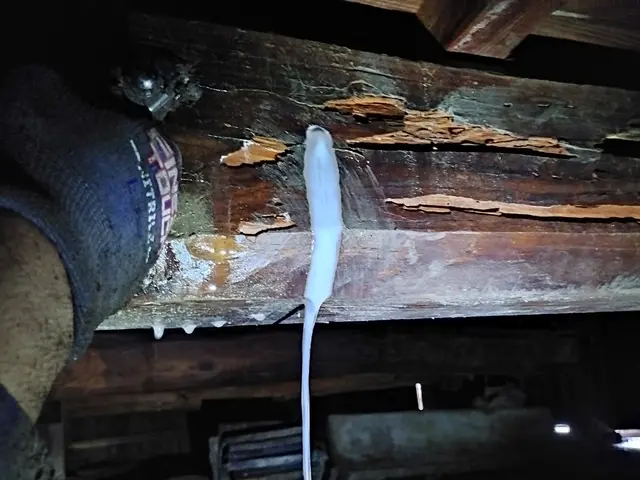 【シロアリ予防・駆除】★安心の5年保証★報告書付き★クレカOK★PayPay可★サービスの画像