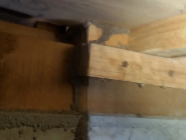 【シロアリ予防・駆除】★安心の5年保証★報告書付き★クレカOK★PayPay可★サービスの画像