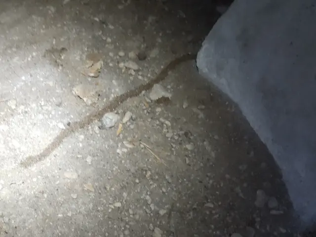 【シロアリ予防・駆除】★安心の5年保証★報告書付き★クレカOK★PayPay可★サービスの画像