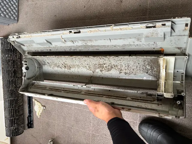 【ファン脱着&漂白つけおき】で頑固な汚れも根こそぎ落とす！ペット・子供にも優しいサービスの画像