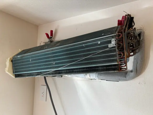 【ファン脱着&漂白つけおき】で頑固な汚れも根こそぎ落とす！ペット・子供にも優しいサービスの画像