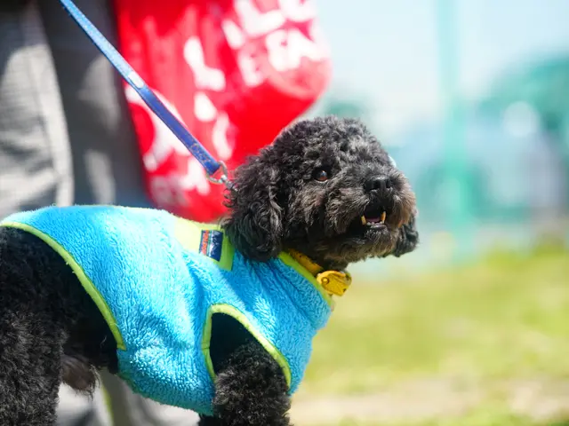 撮影をスムーズに行うため事前にしっかり打ち合わせします