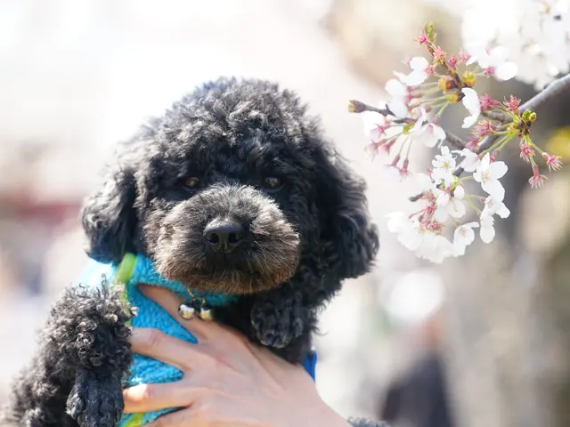 撮影をスムーズに行うため事前にしっかり打ち合わせします