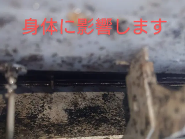 室外機洗浄・消臭コート無料の追加無しクリーニング8.000円☆生活応援サービス中サービスの画像