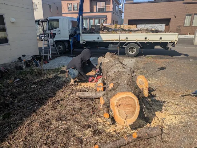 庭木の伐採、抜根、高木、他店で断られた案件もお任せください。サービスの画像