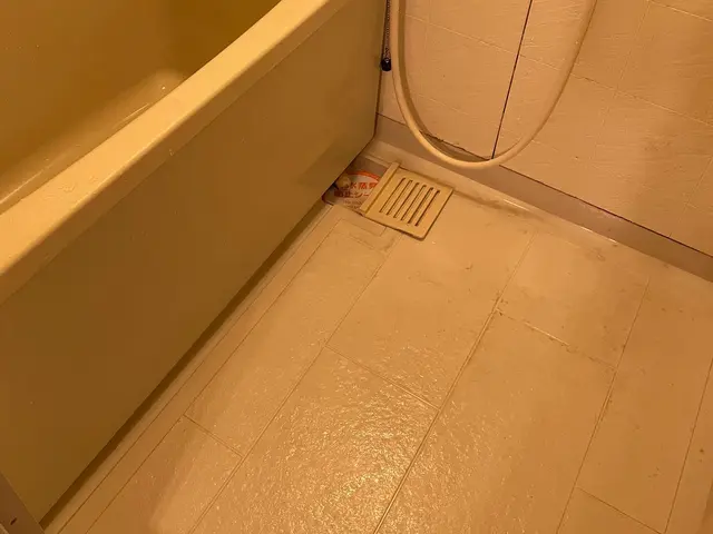 水回りクリーニング/5点セット（お風呂＋換気扇＋トイレ＋キッチン＋洗面所）サービスの画像